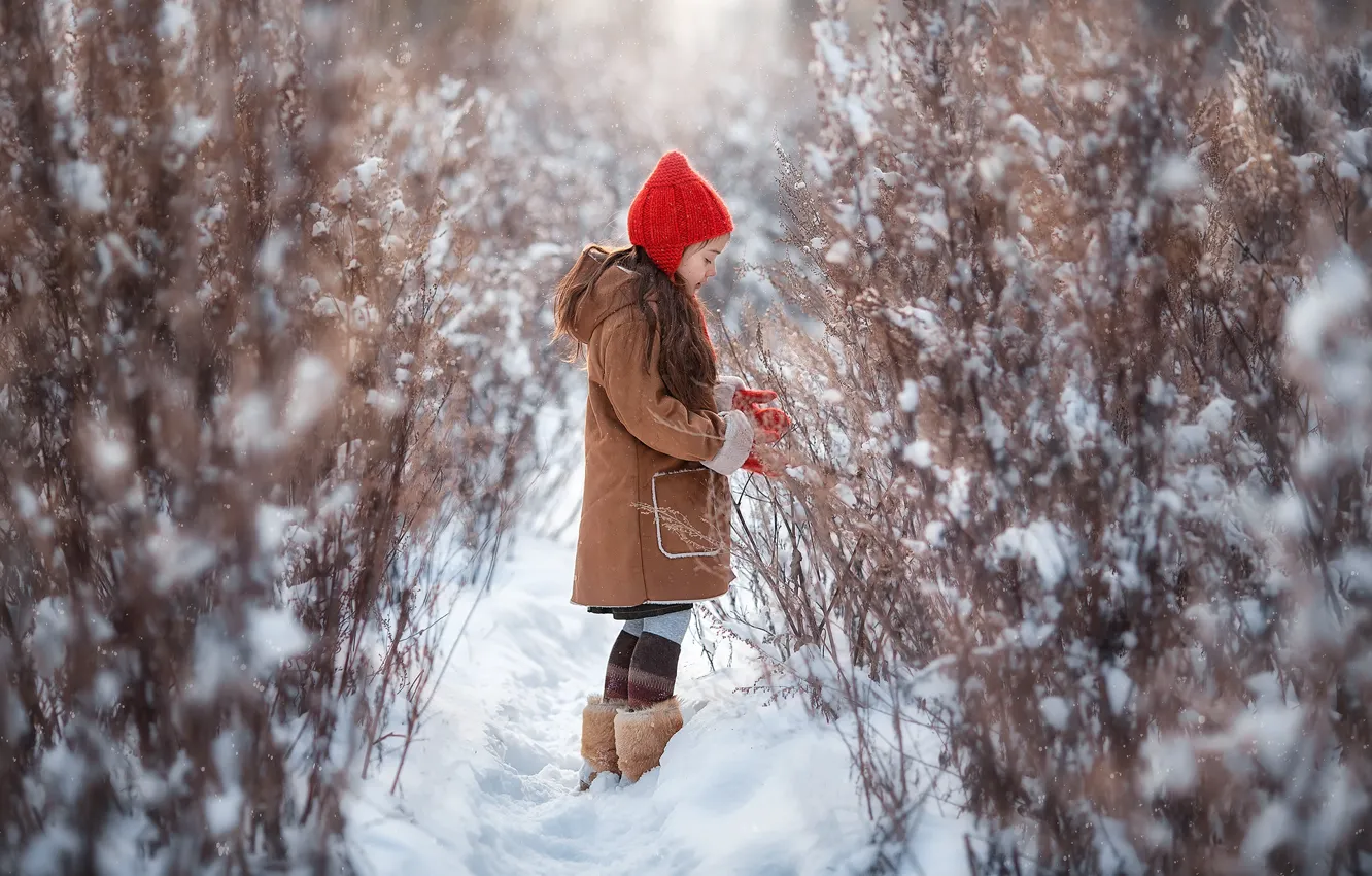 Фото обои зима, снег, природа, девочка, кусты, Анастасия Бармина, Бармина Анастасия