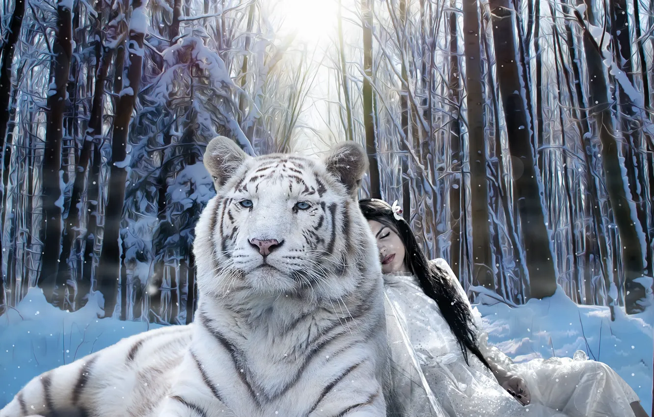 Фото обои зима, лес, белый, взгляд, морда, девушка, свет, снег