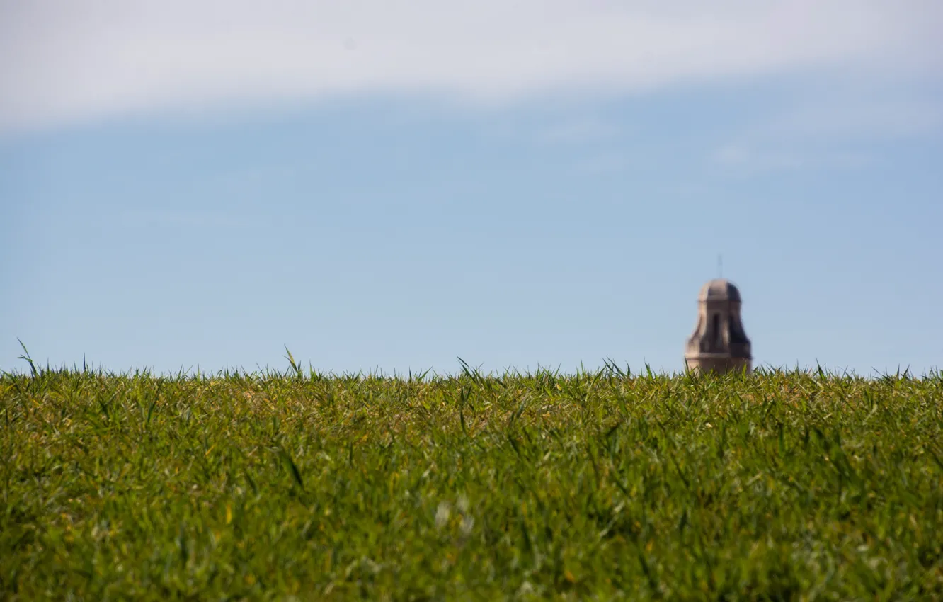 Фото обои grass, tower, sky