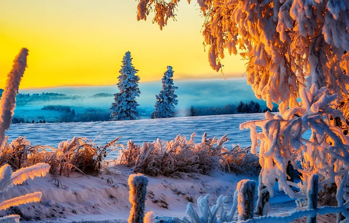 Фото обои зима, дорога, поле, трава, снег, пейзаж, фото, утро