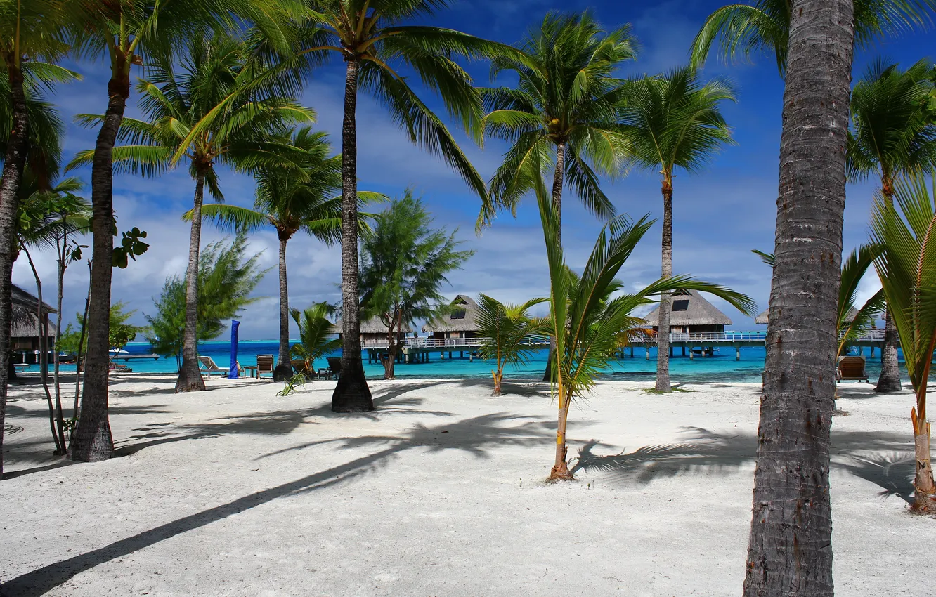 Фото обои песок, море, небо, пальмы, океан, отдых, остров, отпуск