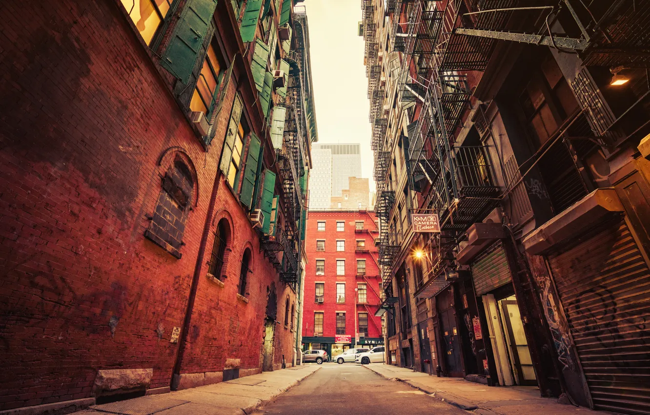 Фото обои улица, здания, Нью-Йорк, Бруклин, автомобили, городской, Соединенные Штаты Америки, Brownstone