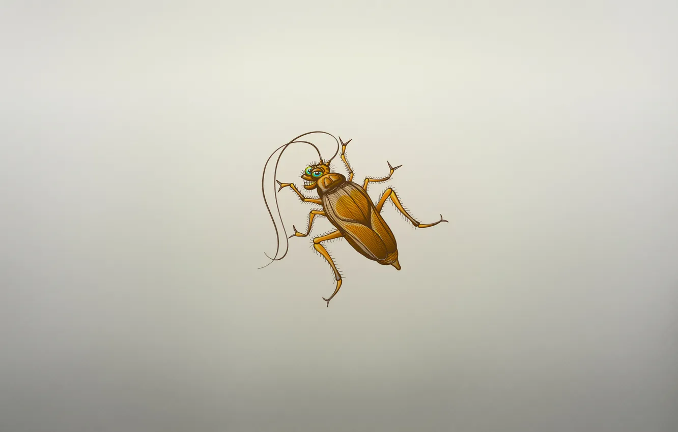 Фото обои улыбка, жук, минимализм, таракан, cockroach, насекомое, усатый
