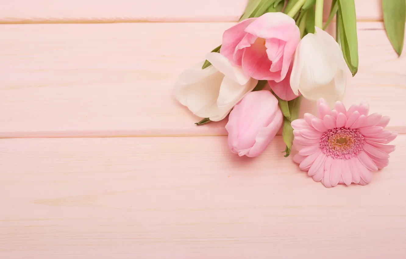 Фото обои цветы, фон, розовый, букет, wood, Yarovoy Aleksandr