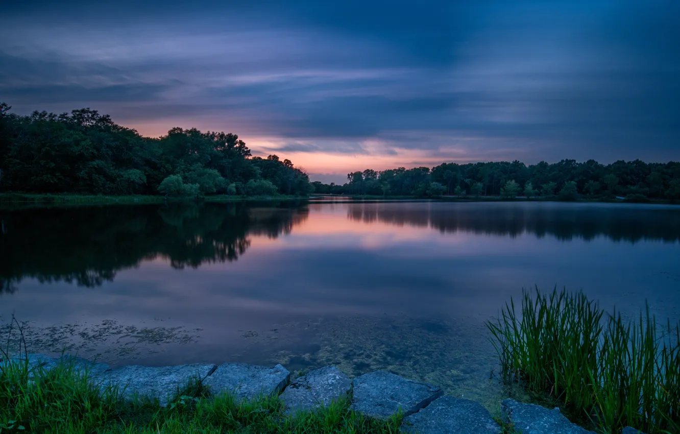 Фото обои лес, закат, озеро, Arrowhead Lake, Озеро Эрроухед