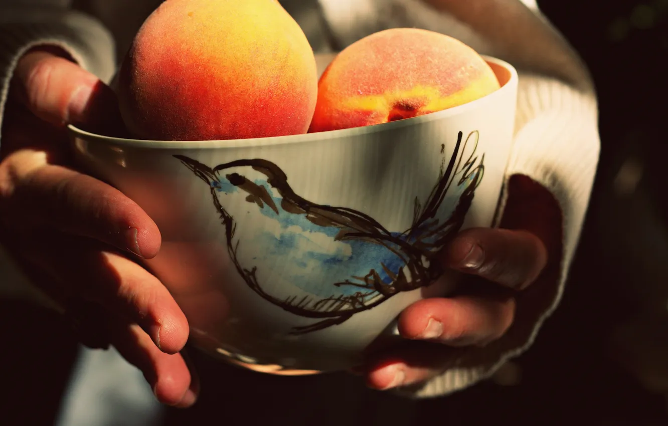 Фото обои руки, фрукты, персики
