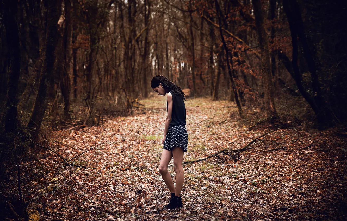 Фото обои грусть, осень, лес, девушка, Chloé