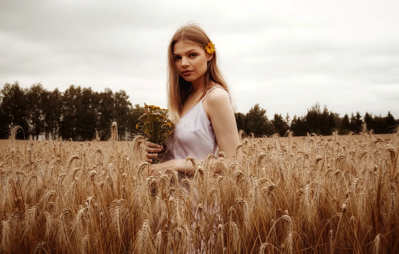 Фото обои пшеница, поле, взгляд, девушка, деревья, цветы, модель, портрет