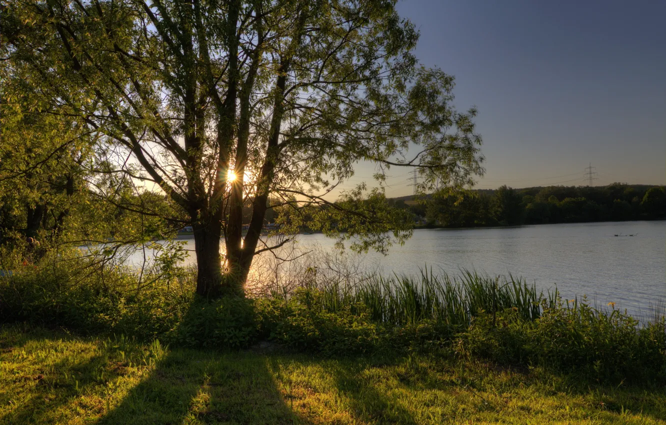 Фото обои небо, солнце, лучи, озеро, дерево, берег, Германия, Веттенберг