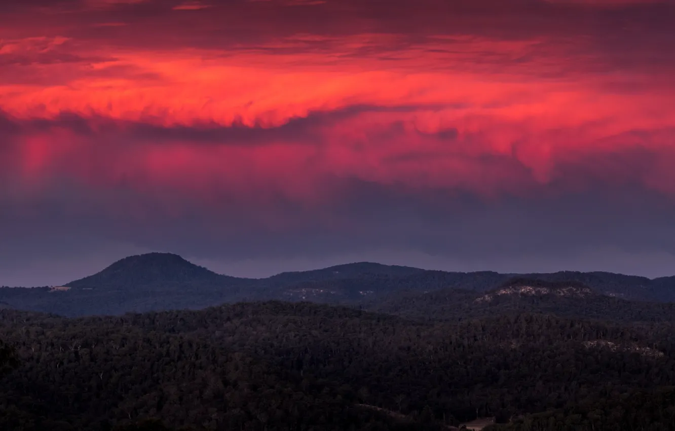 Фото обои forest, twilight, sunset, hills, dusk