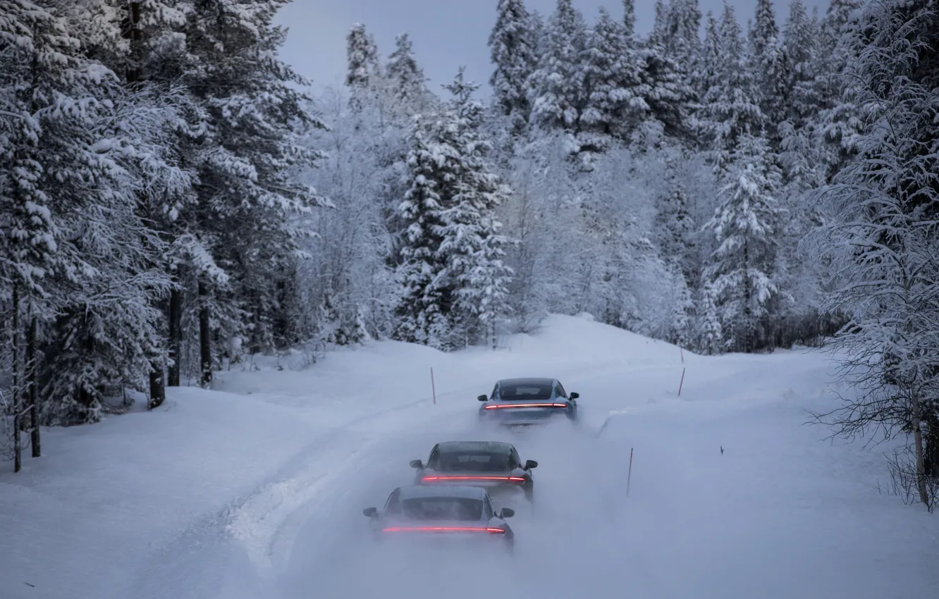 Фото обои лес, снег, движение, Porsche, сзади, 2020, Taycan, Taycan 4S
