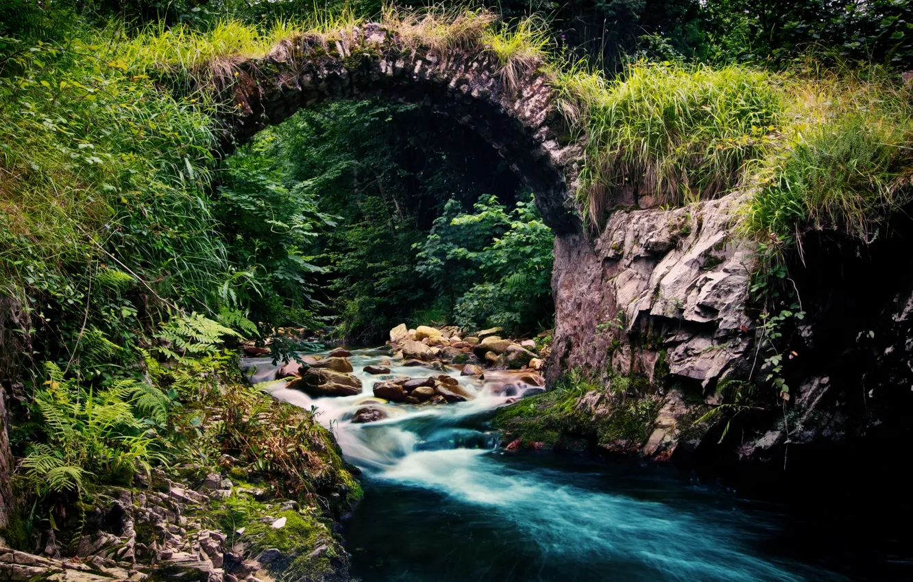 Фото обои лес, природа, река, ручей, поток, мостик