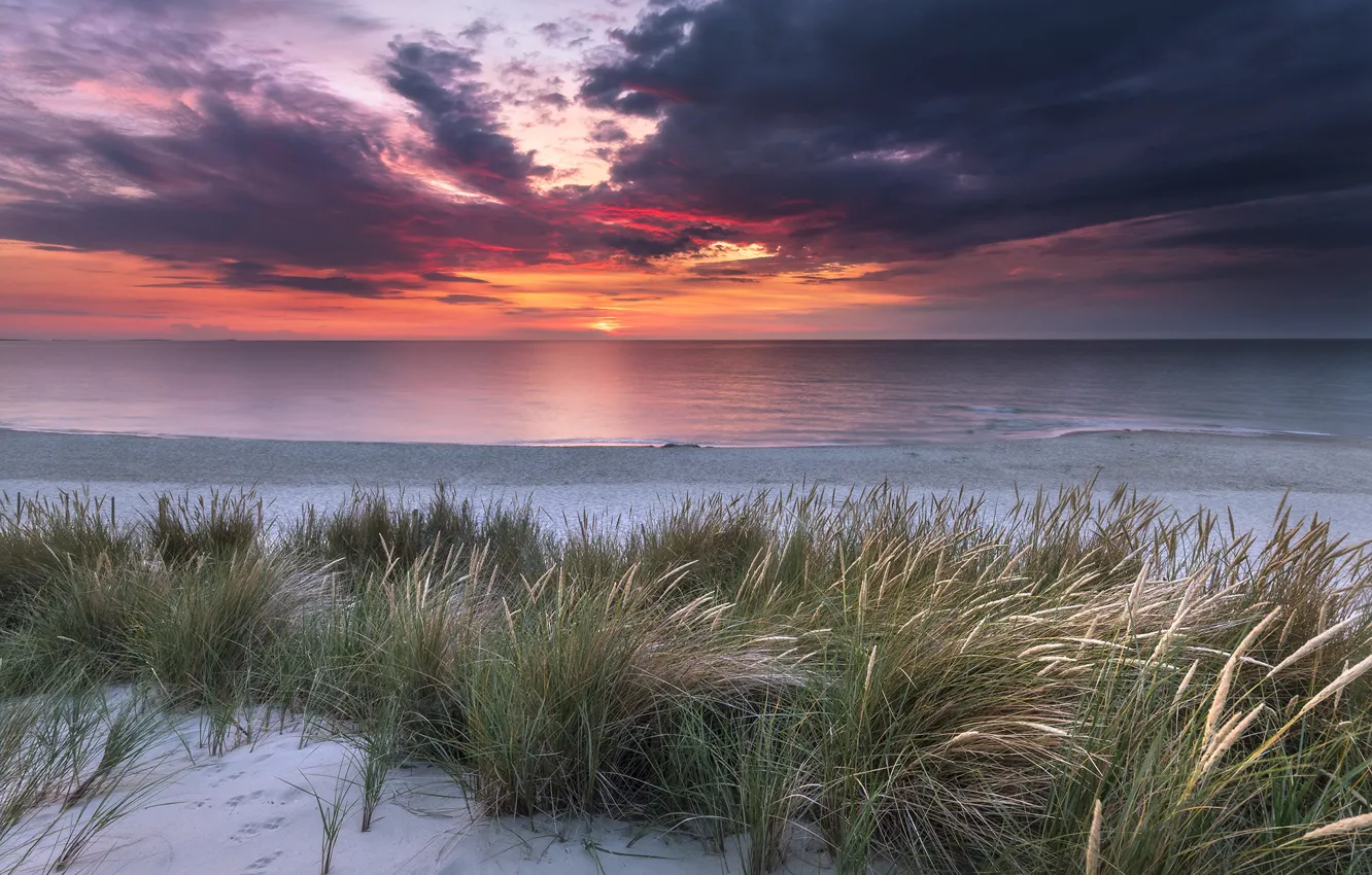 Фото обои песок, море, трава, пейзаж, закат, тучи, природа, берег