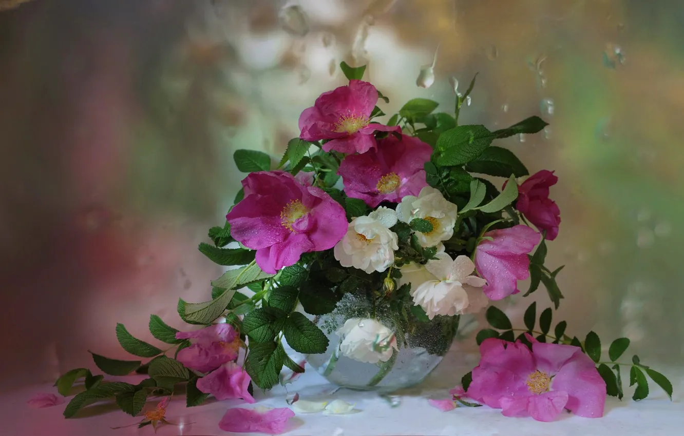 Фото обои капли, цветы, букет, окно, шиповник, ваза