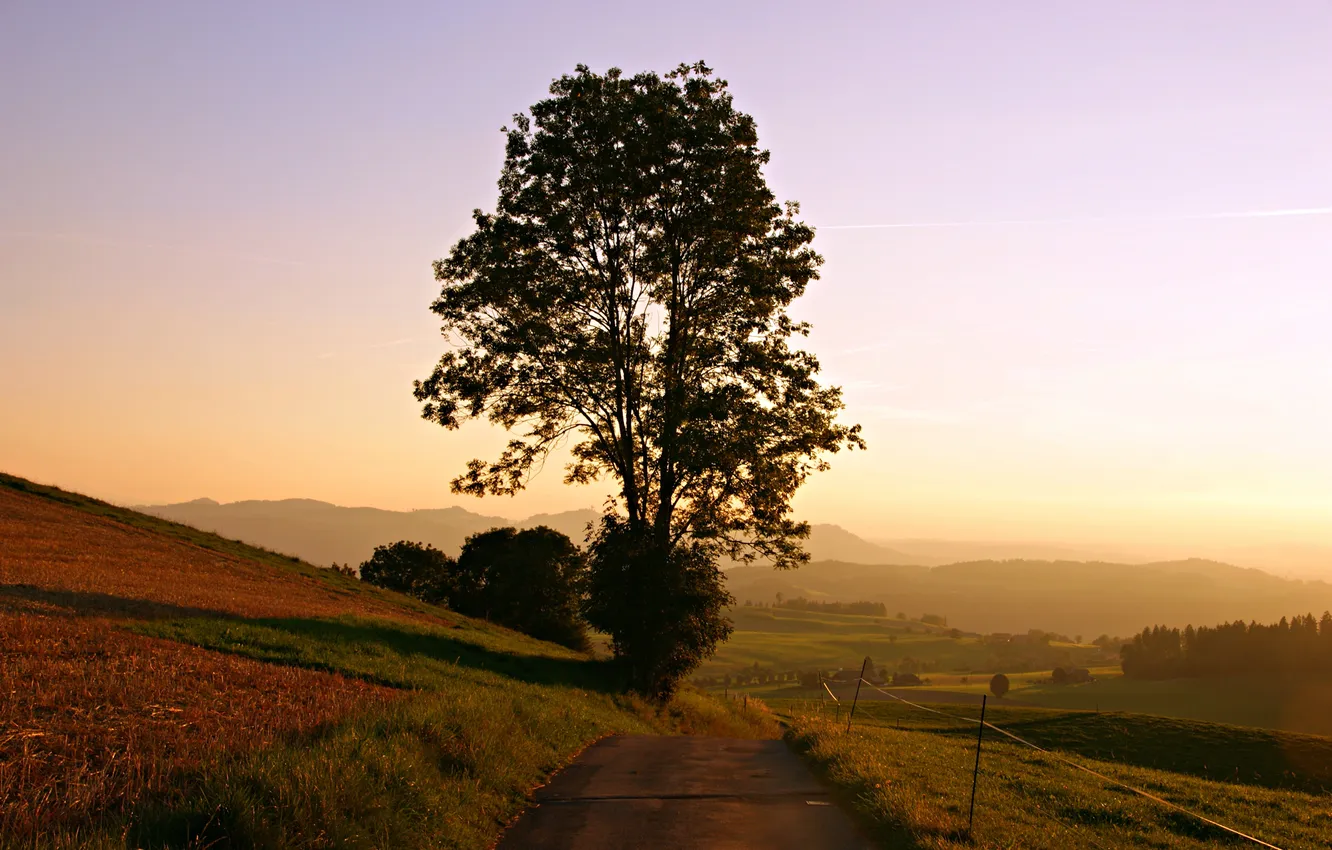 Фото обои солнце, дерево, рассвет, холмы, Дорога, утро, небосклон, поля.