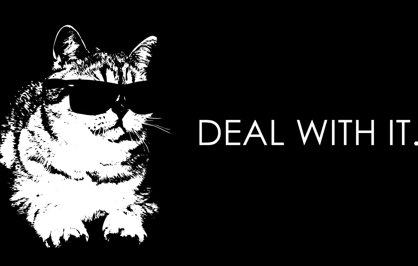 Фото обои cat, deal with it, кот в очках