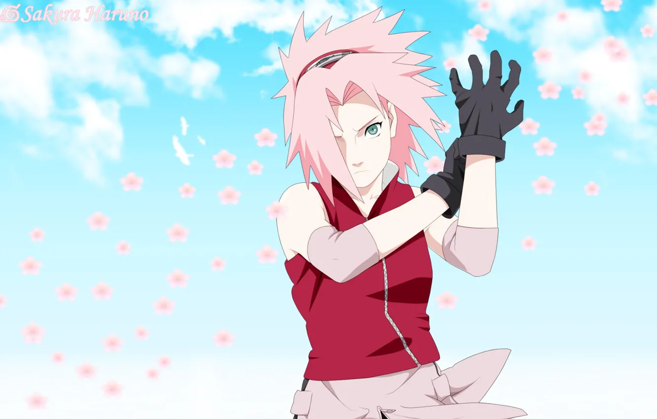 Фото обои girl, game, Sakura, fighter, flower, sky, woman, pink
