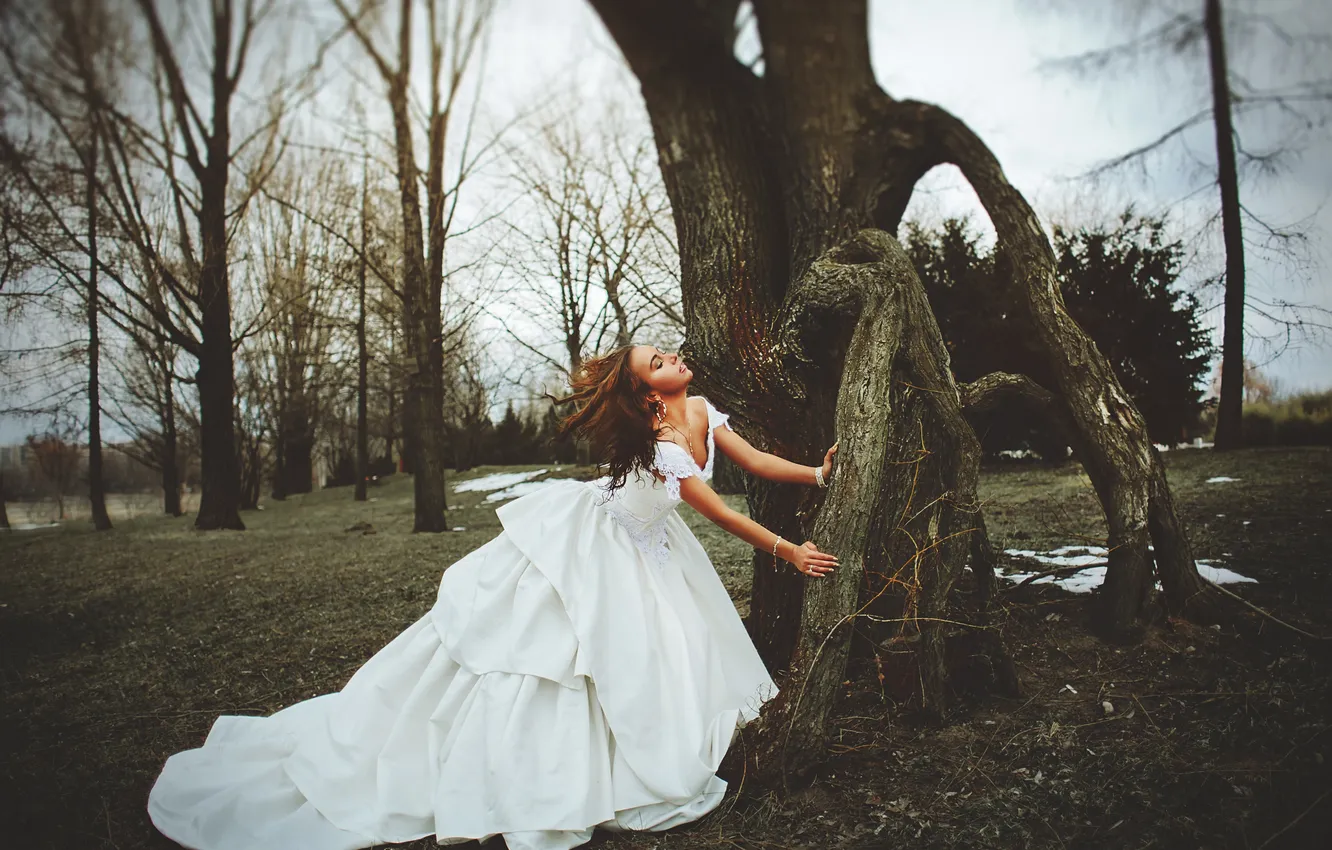 Фото обои девушка, дерево, платье, невеста