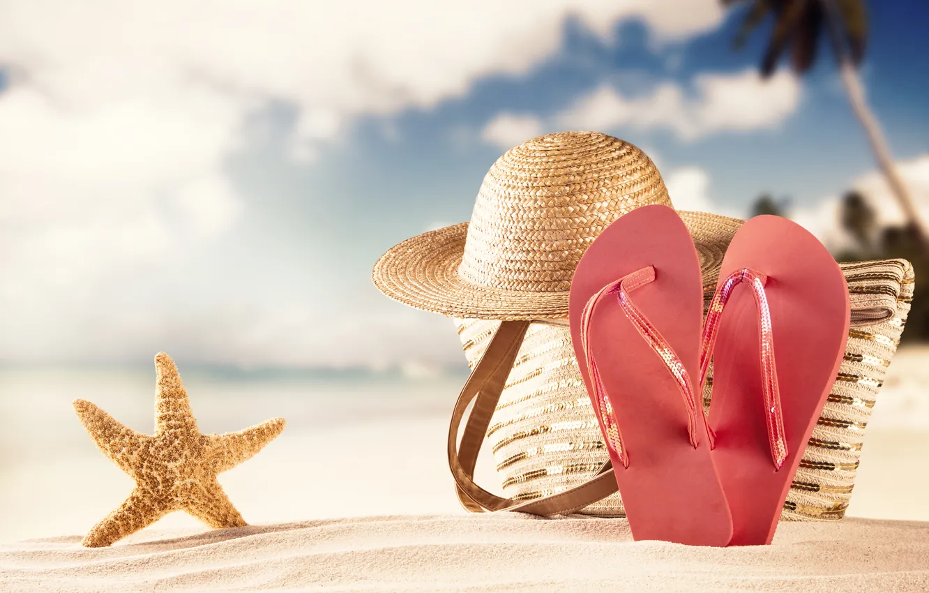 Фото обои песок, пляж, лето, шляпа, морская звезда, summer, сумка, beach