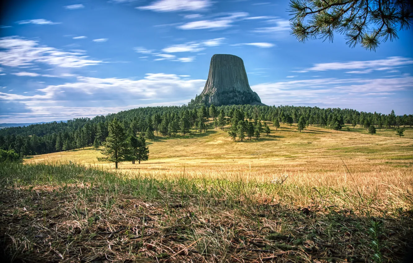 Фото обои горы, пень, Devils Tower