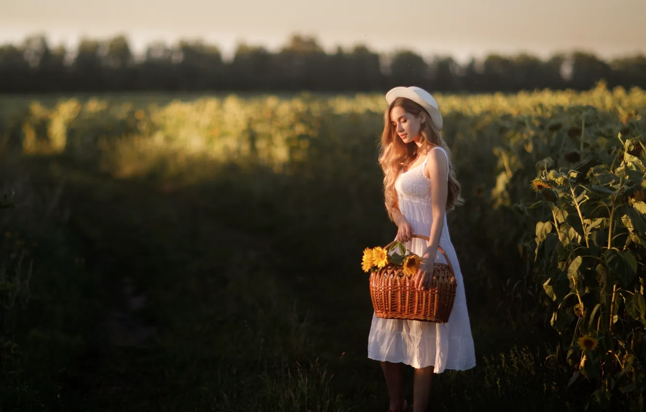 Фото обои подсолнухи, корзина, Девушка, платье, шляпка, Илья Гарбузов, Анастасия Абрамова