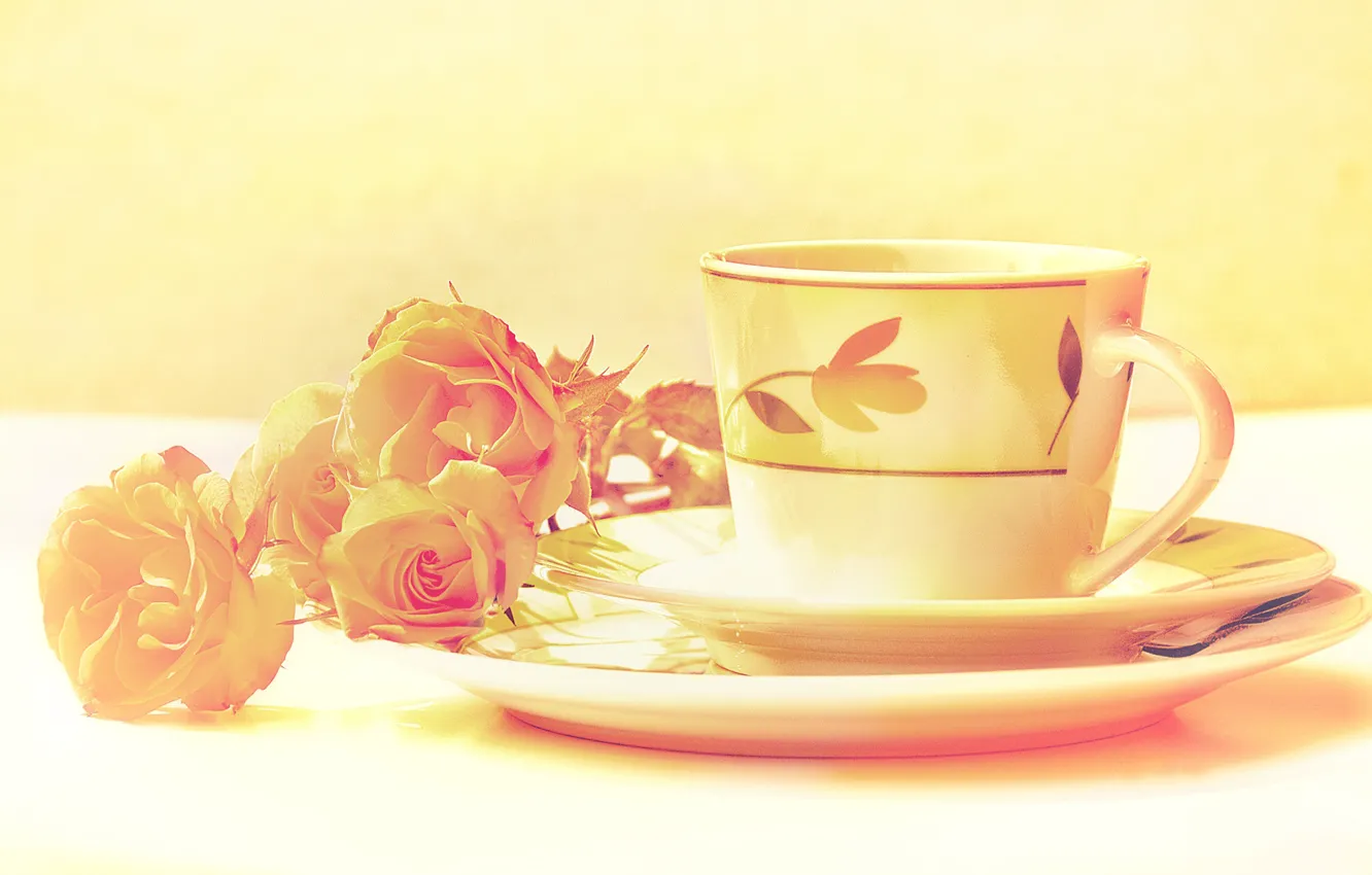 Фото обои цвета, цветы, розы, обработка, чашка, натюрморт, блюдце, изображение