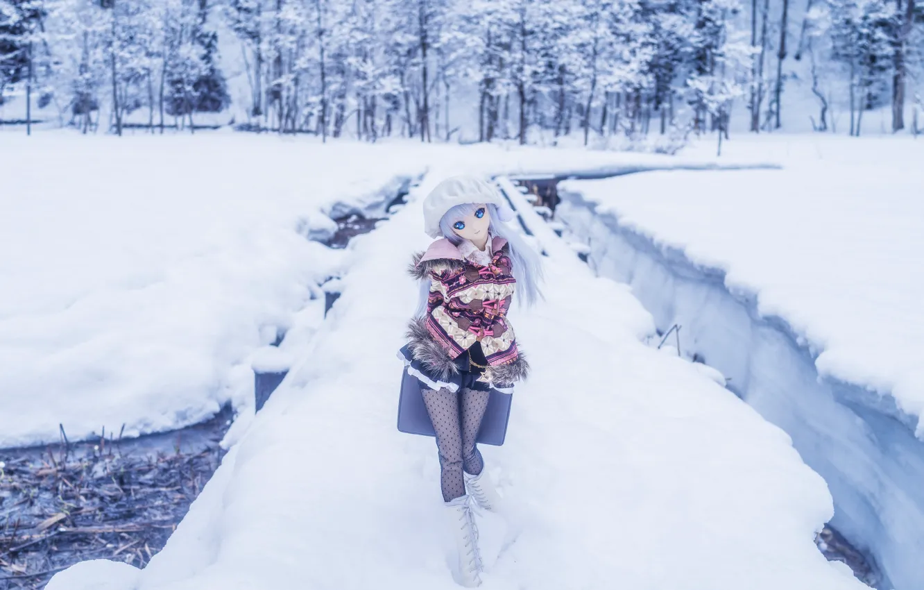 Фото обои зима, снег, игрушка, кукла