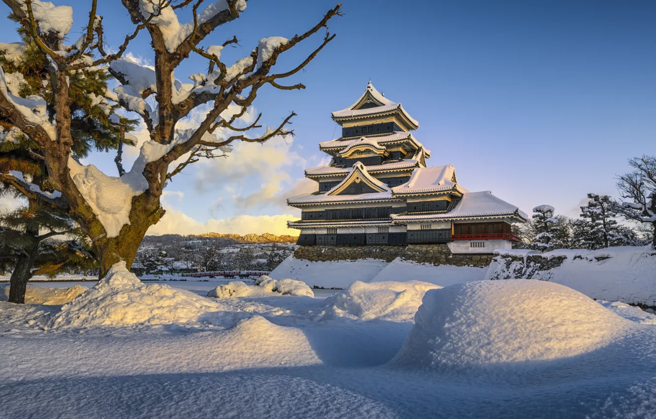 Фото обои Зима, Деревья, Япония, Снег, Japan, Matsumoto, Мацумото, Нагано