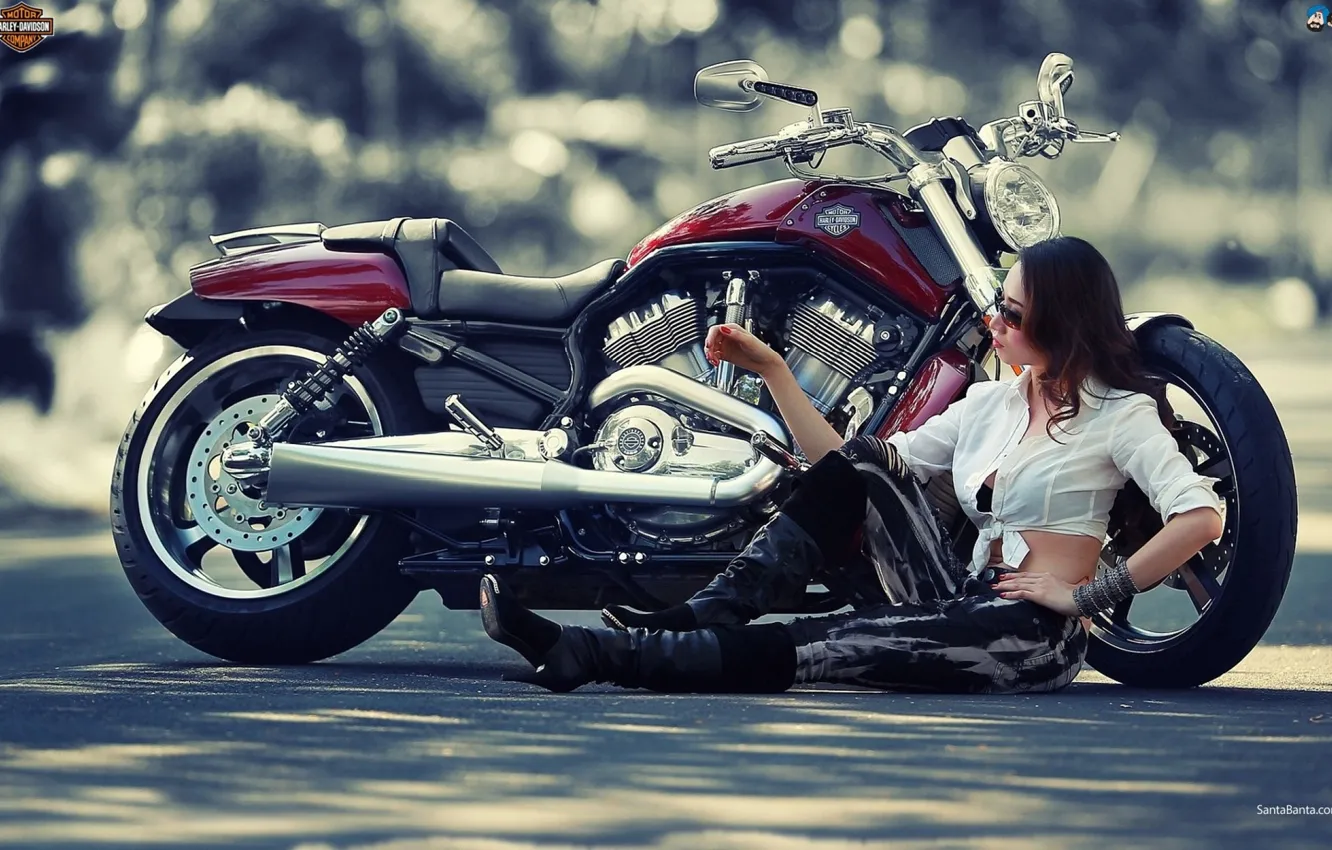 Фото обои Girl, Harley, Motorcycles
