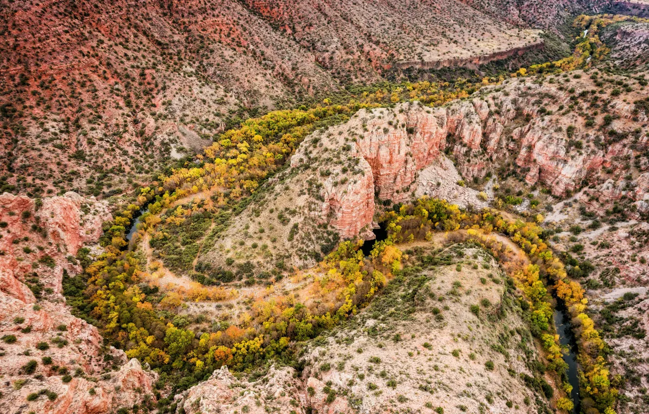 Фото обои Arizona, Autumn, verde valley, Sycamore Creek, sycamore canyon