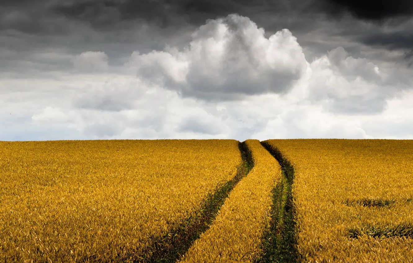 Фото обои дорога, поле, лето