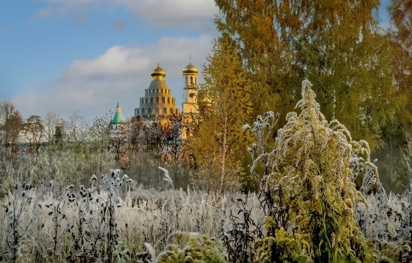 Фото обои пейзаж, природа, монастырь, заморозки, Новый Иерусалим, Вячеслав Бирюков