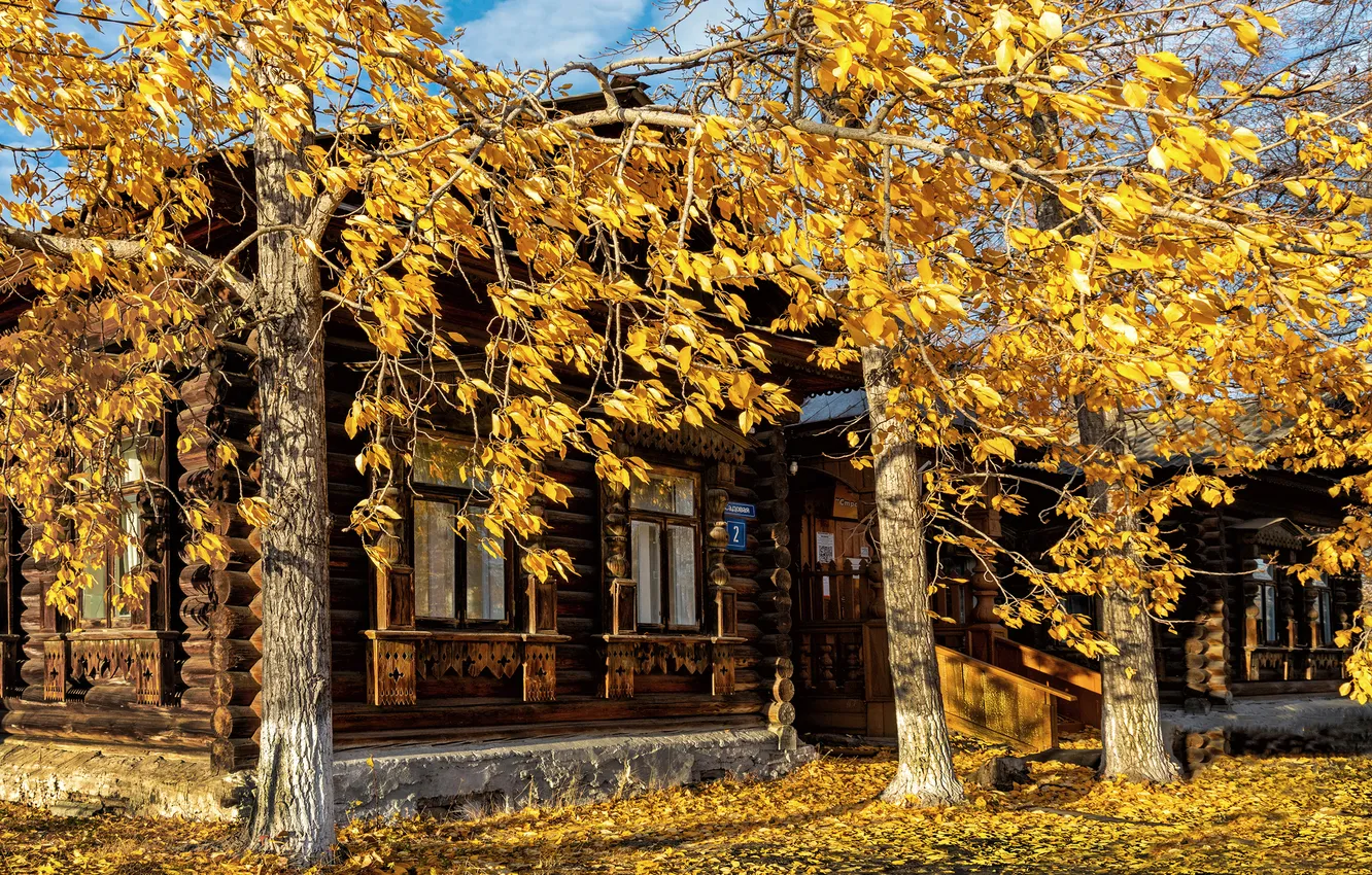 Фото обои trees, yellow, autumn, cabin