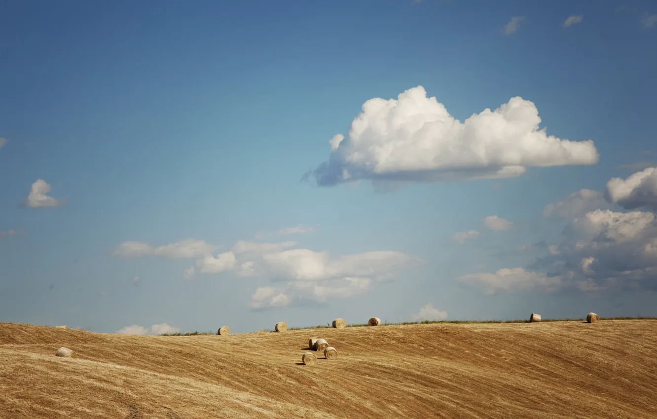 Фото обои clouds, sunny, hay, bales, harvest, farmland, countryside scene, farm countryside