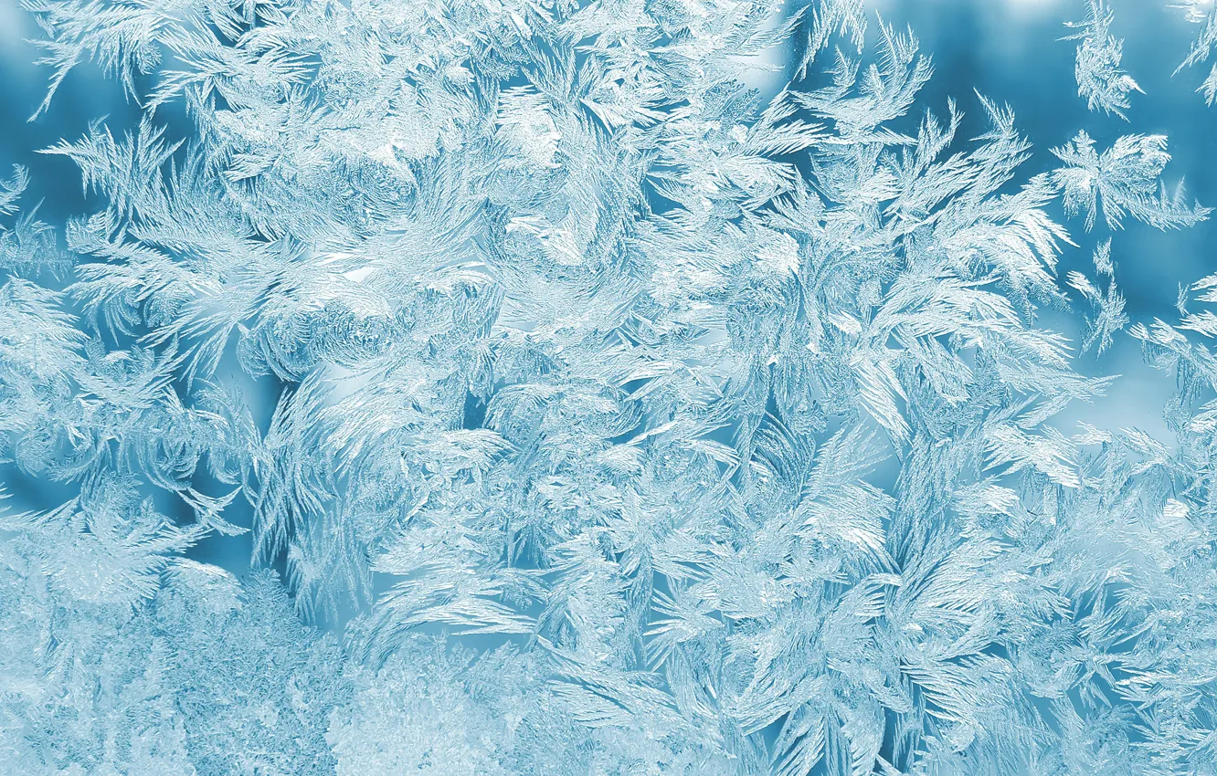 Фото обои холод, зима, иней, стекло, снег, узор, лёд, текстура