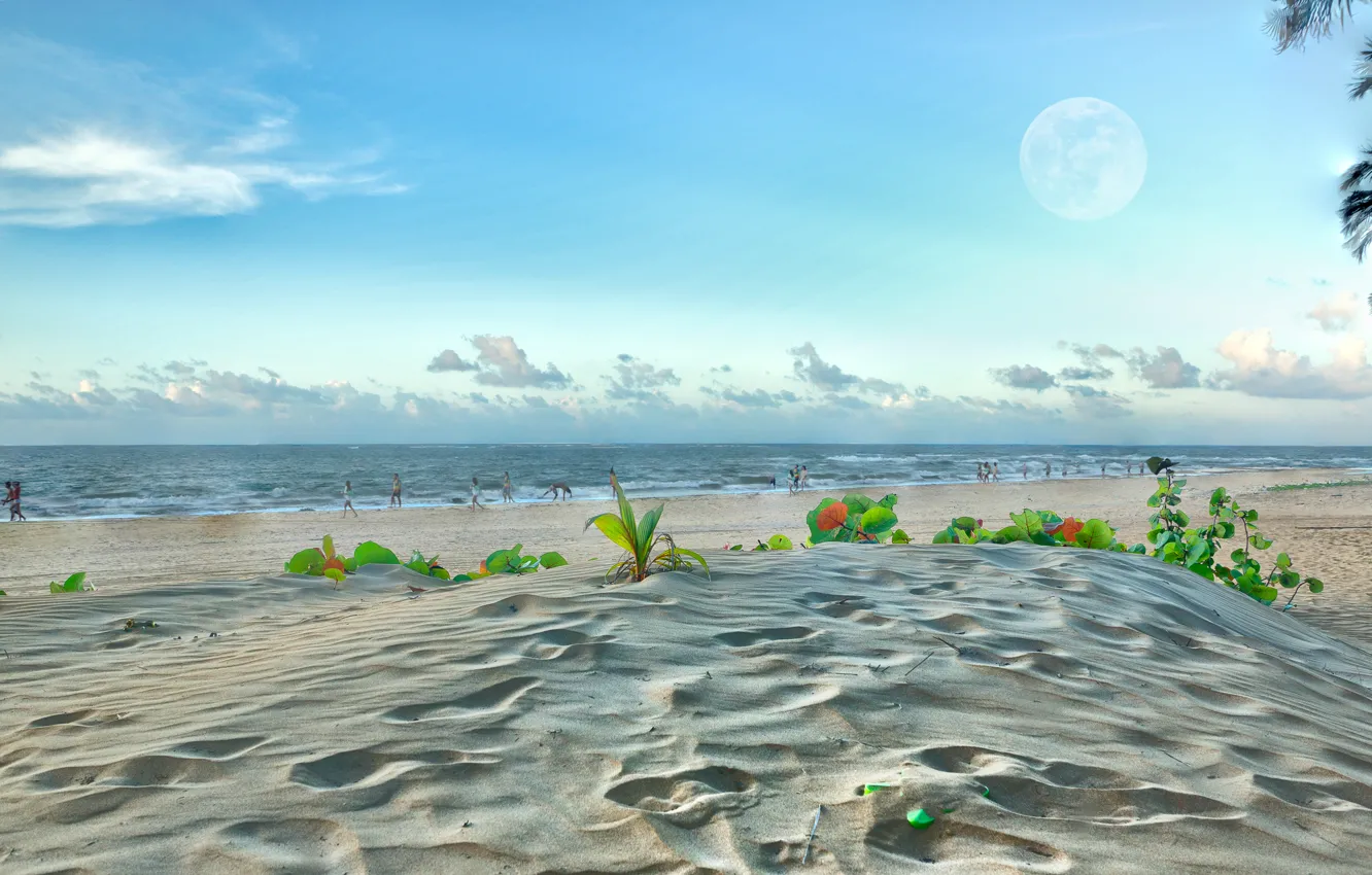 Фото обои песок, море, пляж, небо, облака, люди, Луна
