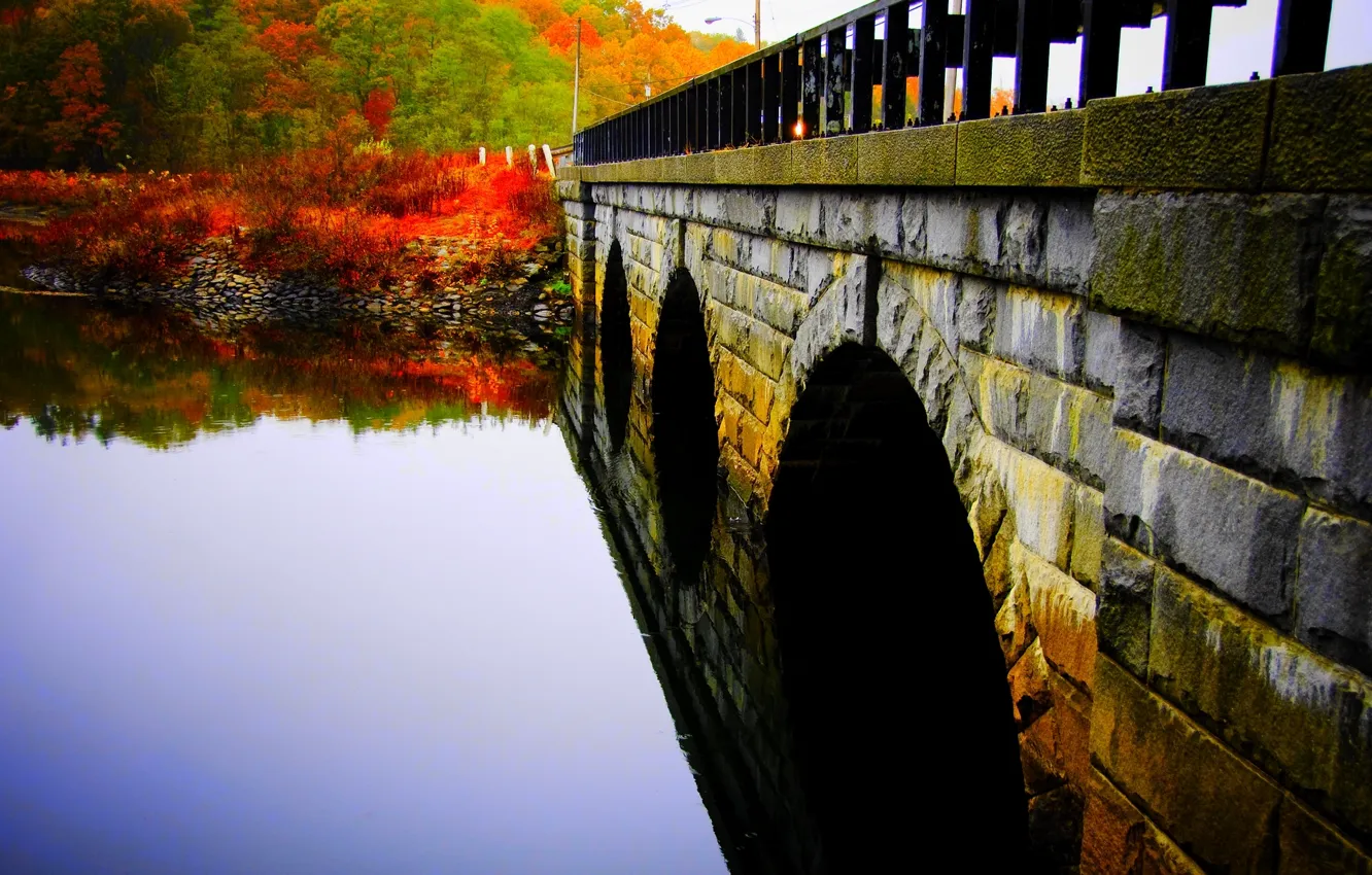 Фото обои вода, деревья, мост, гладь, парк, река, Осень, каменный