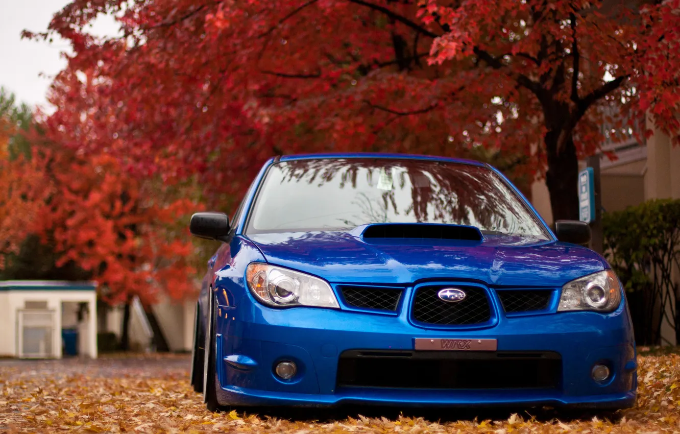 Фото обои осень, природа, листва, Subaru