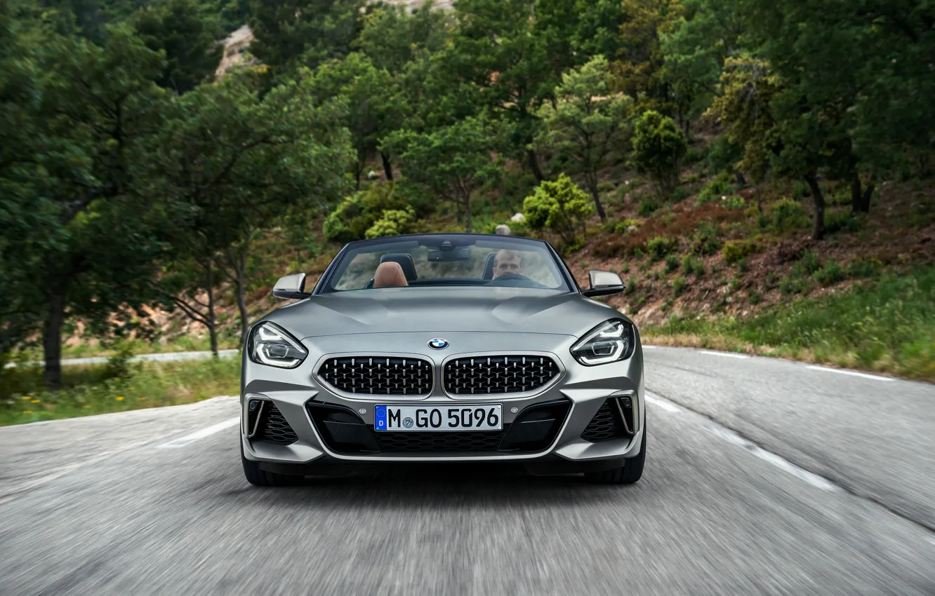 Фото обои дорога, серый, растительность, BMW, родстер, вид спереди, BMW Z4, M40i