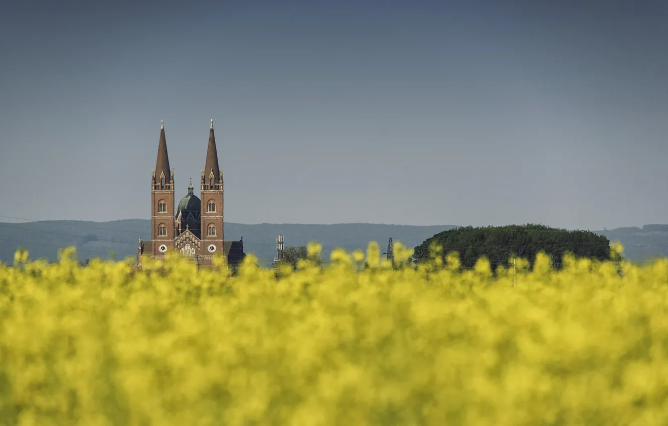 Фото обои cathedral, flowers, bokeh, spring, Croatia, towers, sunny, field of gold