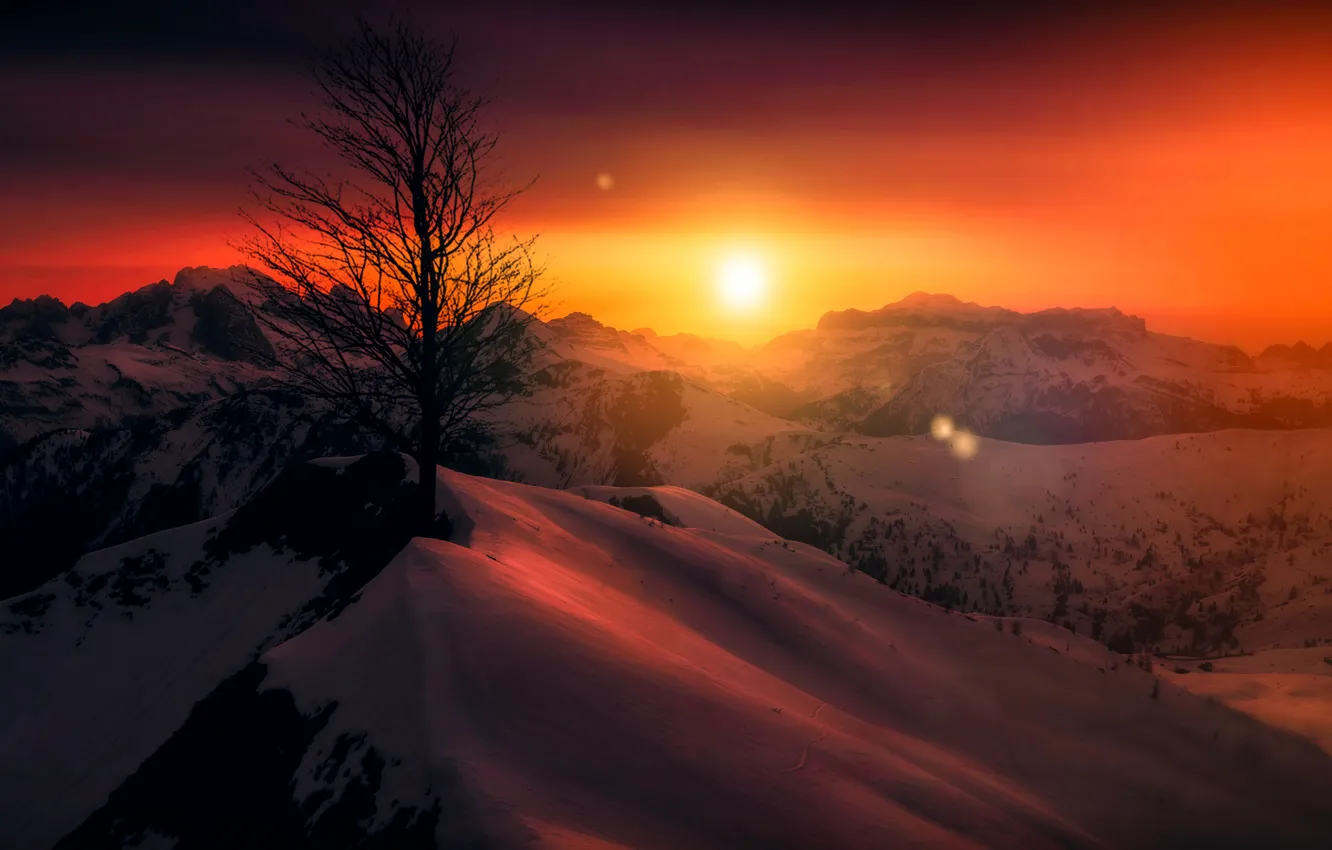 Фото обои небо, снег, пейзаж, закат, горы, дерево, красота