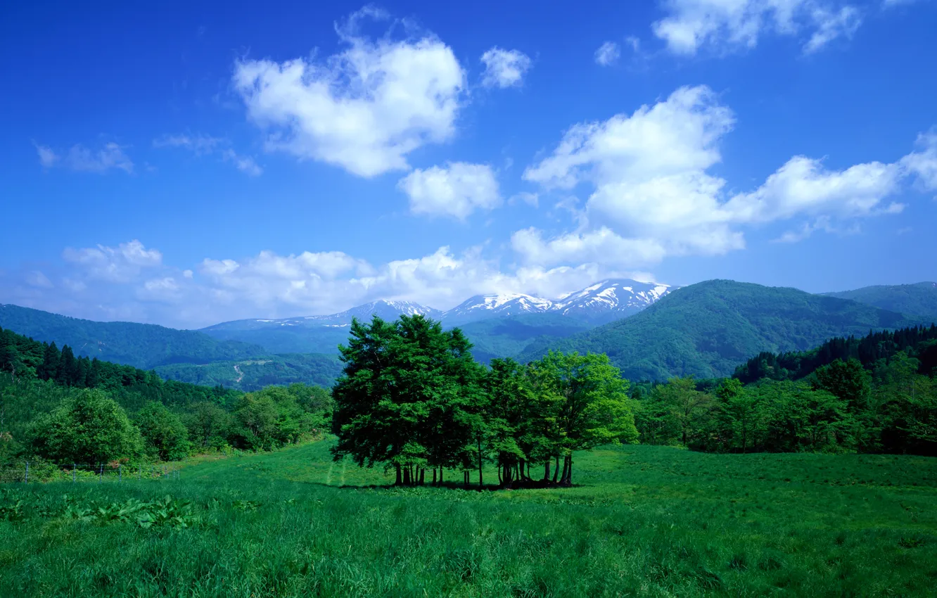 Фото обои небо, трава, облака, деревья, горы, долина, луг