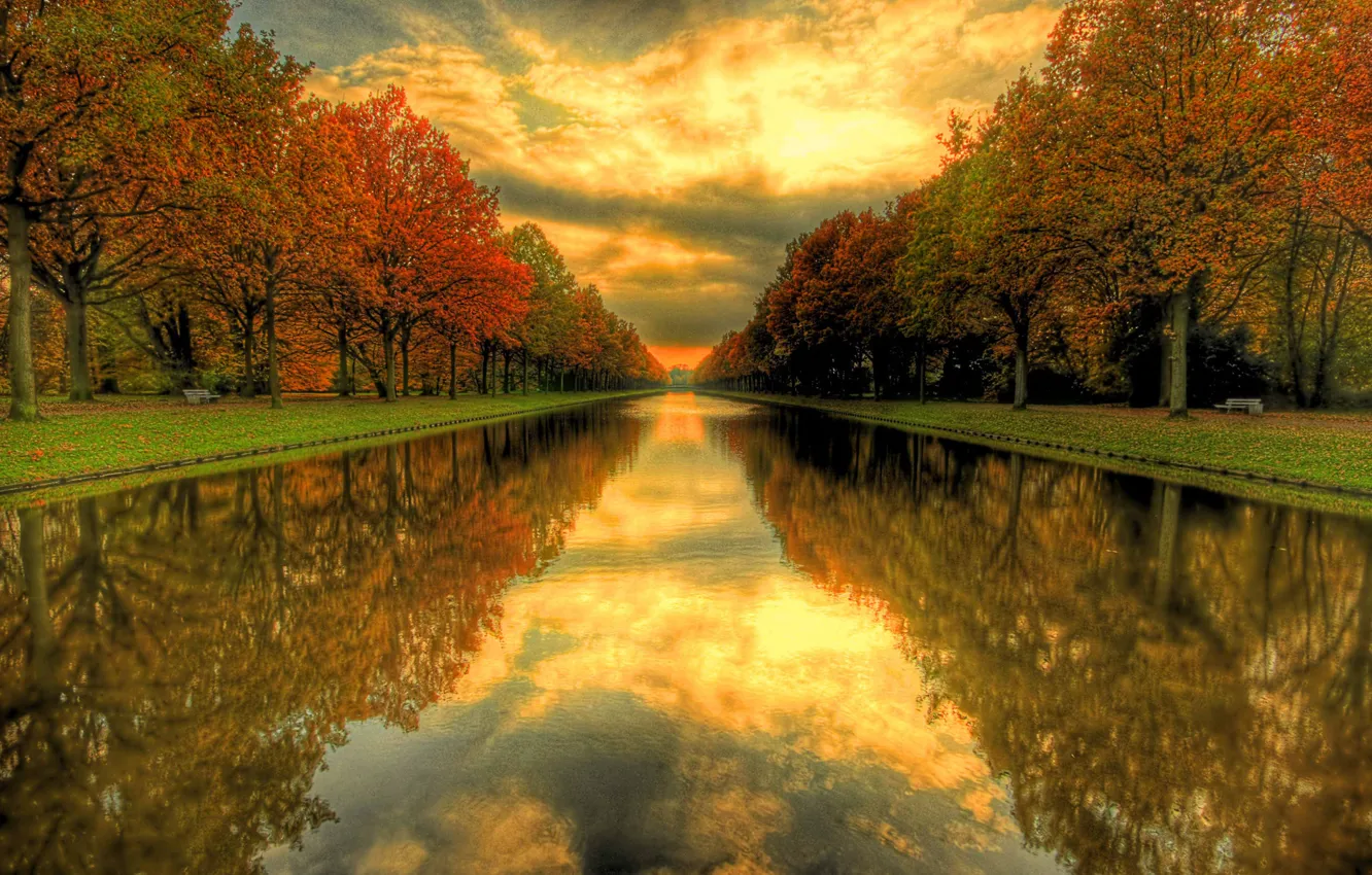 Фото обои осень, трава, вода, деревья, природа, дерево, пейзажи, парки