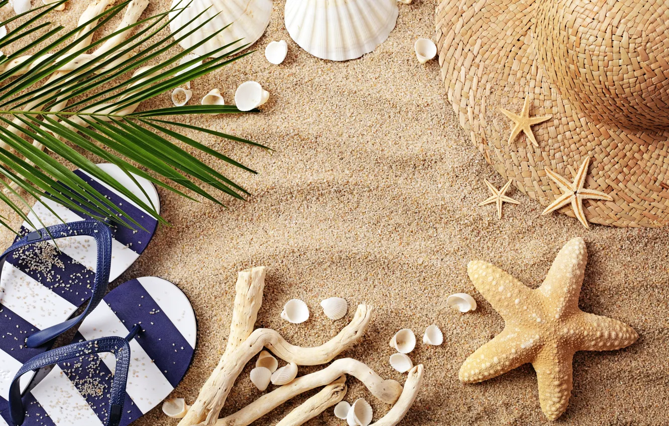 Фото обои песок, пляж, лето, шляпа, очки, ракушки, summer, beach