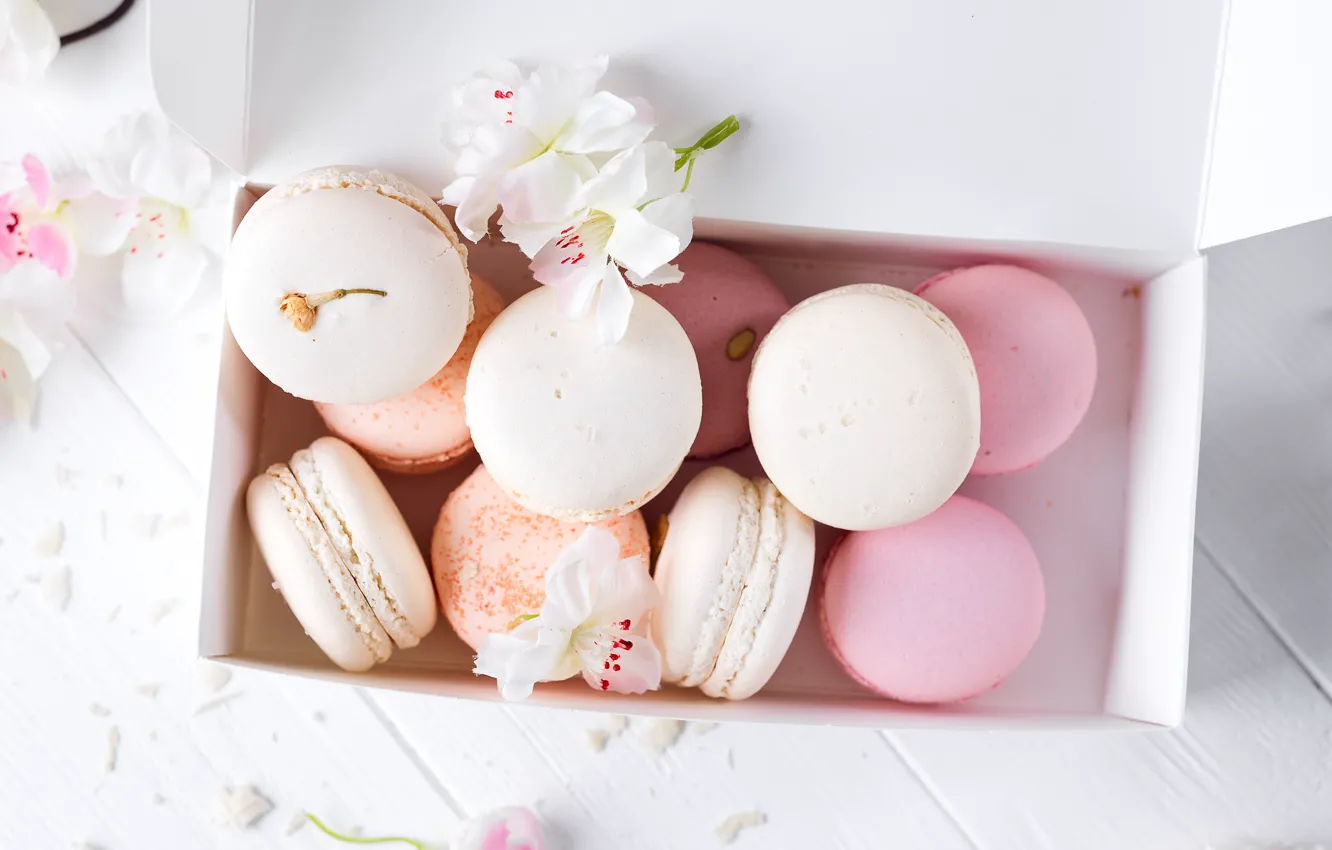 Фото обои white, pink, flowers, french, macaron, pastel, макаруны