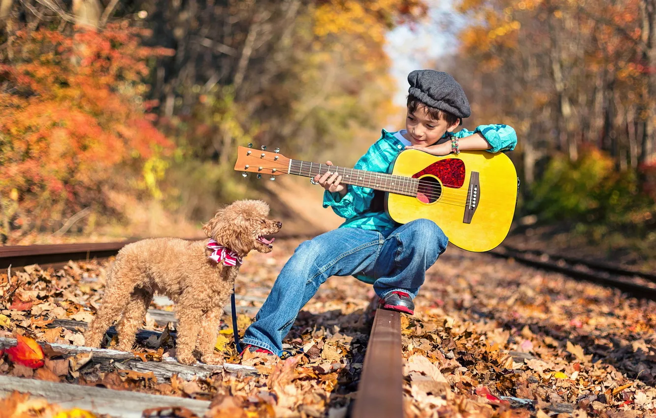 Фото обои гитара, собака, железная дорога, малчик