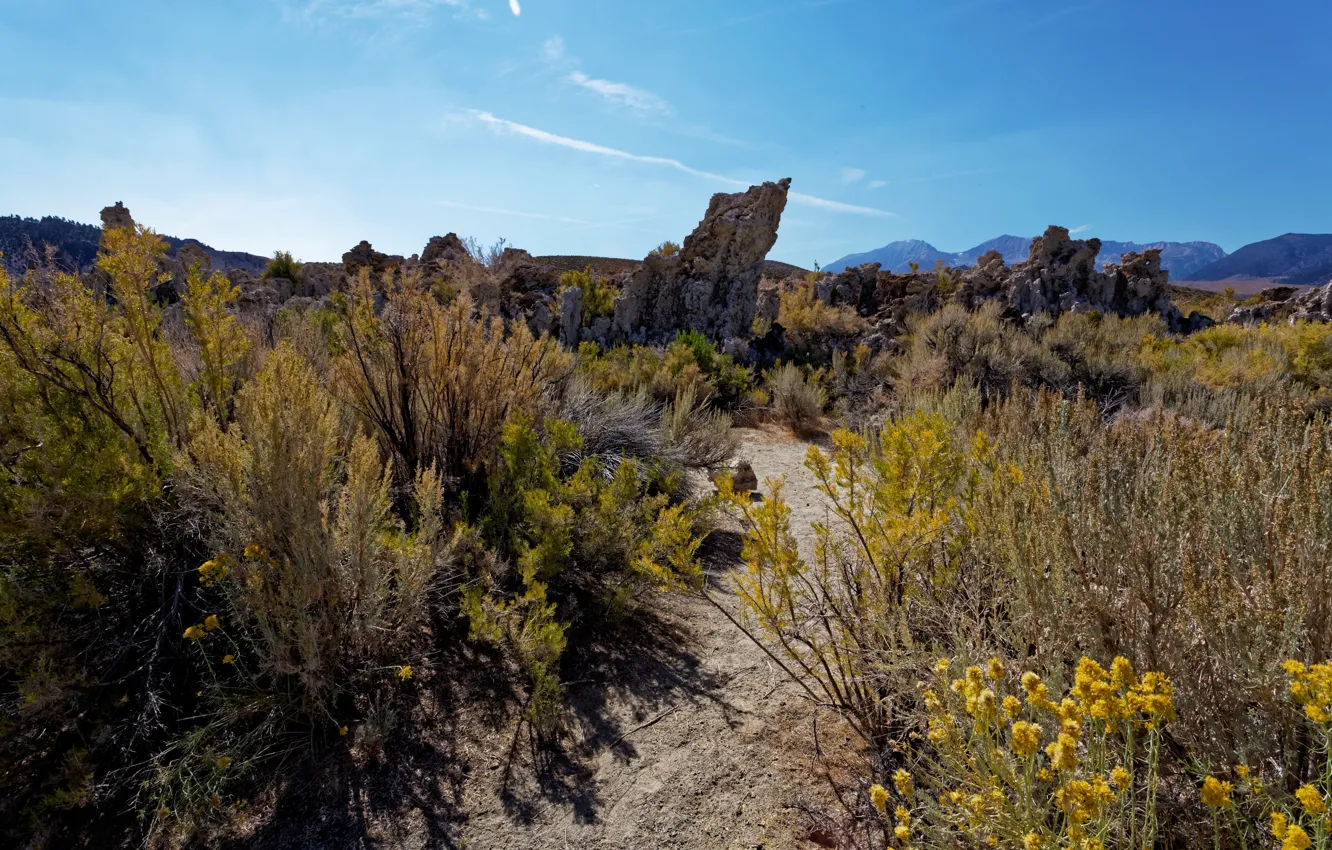 Фото обои горы, скалы, Калифорния, США, California