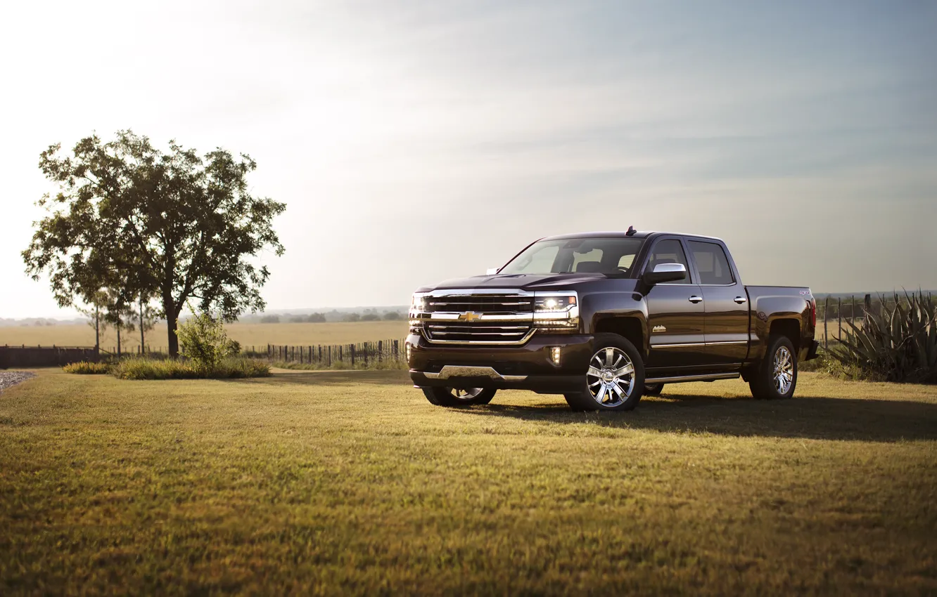 Фото обои Chevrolet, шевроле, Double Cab, Silverado, сильверадо, 2016