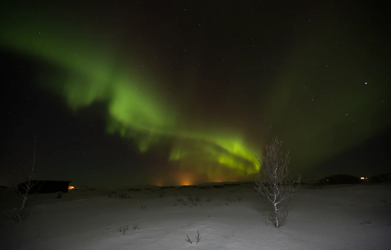 Фото обои зима, звезды, ночь, природа, северное сияние, Aurora Borealis