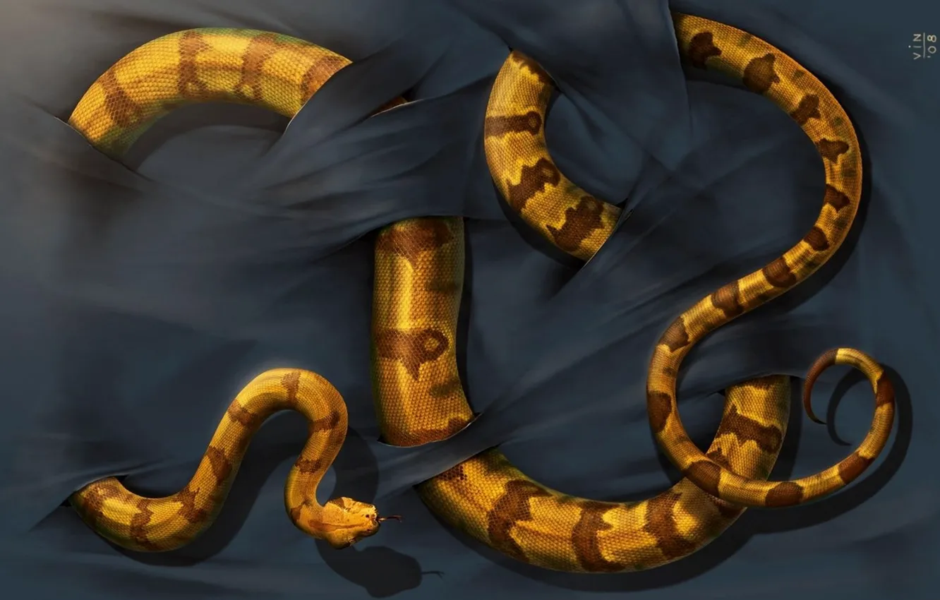 Фото обои фон, змея, чешуя, ткань